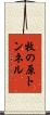 牧の原トンネル Scroll