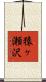 猿ヶ瀬沢 Scroll