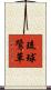 琉球鷺草 Scroll