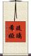 Lucrecia Scroll