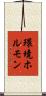 環境ホルモン Scroll
