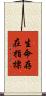 生命存在指標 Scroll
