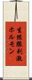 生殖腺刺激ホルモン Scroll