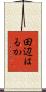 田辺はるか Scroll