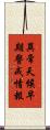 異常天候早期警戒情報 Scroll
