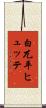 白兀平ヒュッテ Scroll