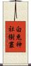 白兎神社樹叢 Scroll