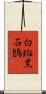 白斑黑石鵖 Scroll