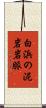 白浜の泥岩岩脈 Scroll