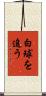 白球を追う Scroll