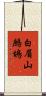 白眉山鷓鴣 Scroll