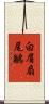 白眉扇尾鶲 Scroll