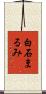 白石まるみ Scroll