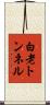白老トンネル Scroll