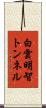 白雲明智トンネル Scroll