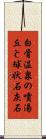 白骨温泉の噴湯丘と球状石灰石 Scroll
