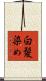 白髪染め Scroll