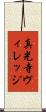 真光寺ヴィレッジ Scroll