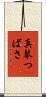 真琴つばさ Scroll