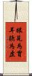 眼見為實，耳聽為虛 Scroll