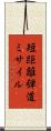 短距離弾道ミサイル Scroll