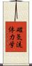 磁気流体力学 Scroll