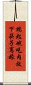 端起碗吃肉，放下筷子罵娘 Scroll