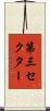 第三セクター Scroll