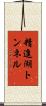 精進湖トンネル Scroll
