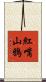 紅嘴山鴉 Scroll