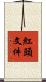 紅頭文件 Scroll