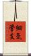 細気管支 Scroll