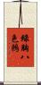 綠胸八色鶇 Scroll