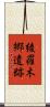 綾羅木郷遺跡 Scroll