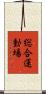 総合運動場 Scroll