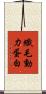 纖毛動力蛋白 Scroll