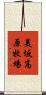 美坂高原牧場 Scroll