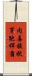 肉毒梭狀芽孢桿菌 Scroll