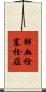 肺血栓塞栓症 Scroll
