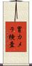 胃カメラ検査 Scroll