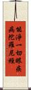 能淨一切眼疾病陀羅尼經 Scroll