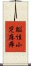 脳性小児麻痺 Scroll