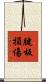 腱板損傷 Scroll