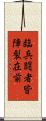 臨兵闘者皆陣裂在前 Scroll