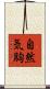 自然気胸 Scroll