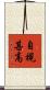 自視甚高 Scroll