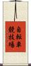 自転車競技場 Scroll