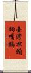 臺灣棕頸鉤嘴鶥 Scroll