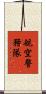 航空警務隊 Scroll