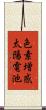色素増感太陽電池 Scroll